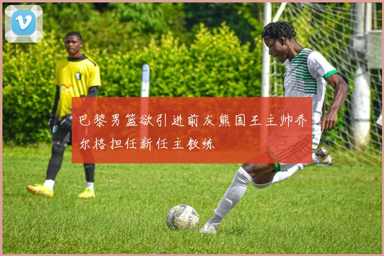 巴黎男篮欲引进前灰熊国王主帅乔尔格担任新任主教练