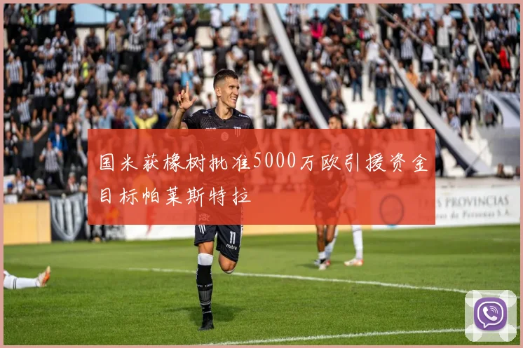 国米获橡树批准5000万欧引援资金目标帕莱斯特拉